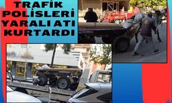 Trafik Polisleri Yaralı Atı Kurtardı